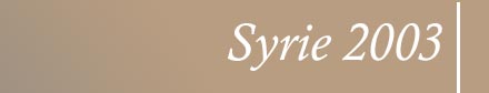 Syrie 2003:  Passeport culturel  Paris, du 24 au 27 juin 2003 - Unesco
